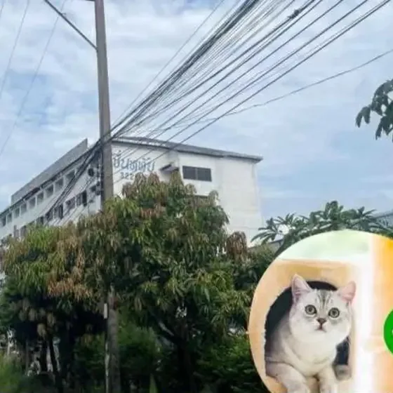 Rental listing photo in Thailand